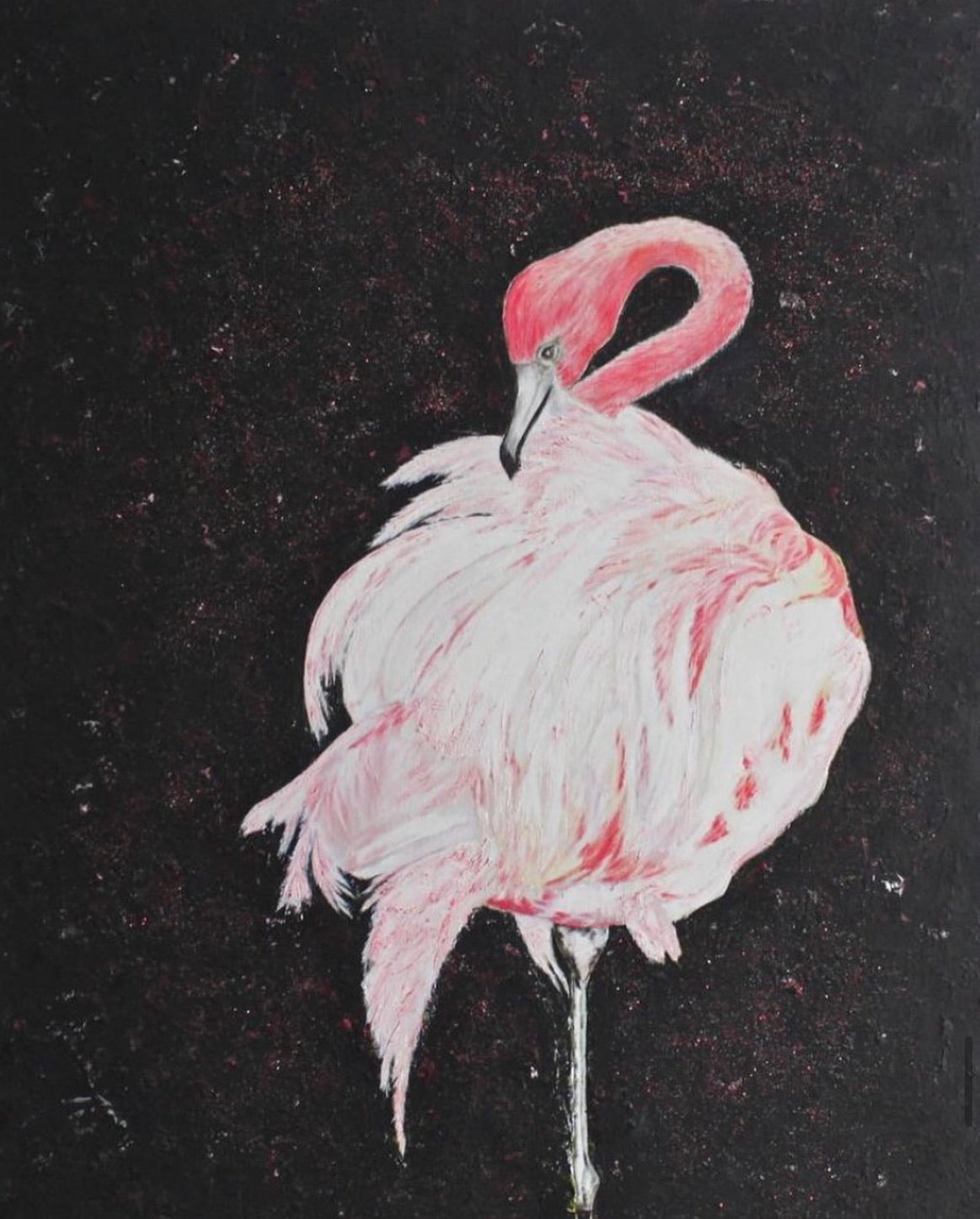 Flamingo 1